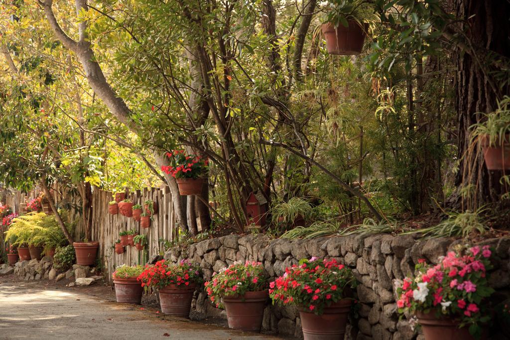 Old Monterey Inn מראה חיצוני תמונה
